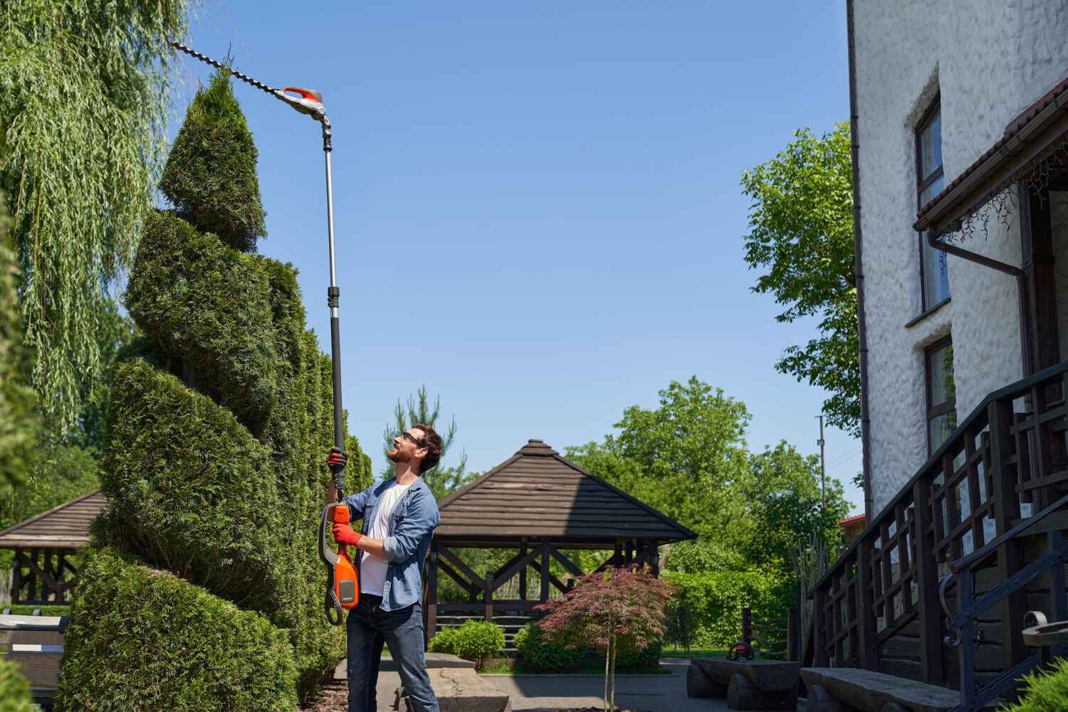 Best Tree Removal for Businesses  in USA